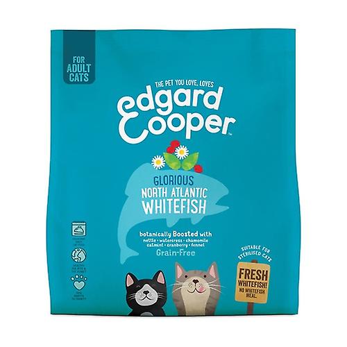 Fresh North Atlantic White Fish Cat Food 300 g