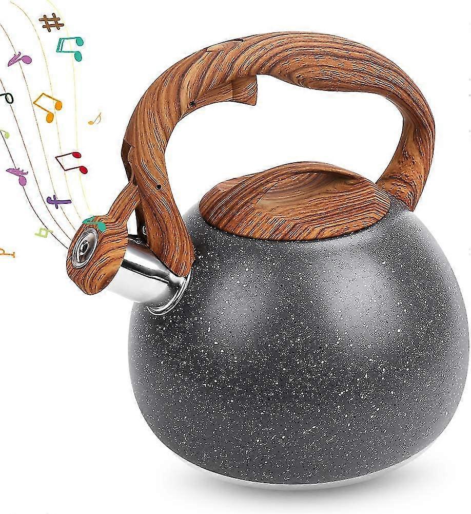 Tea Kettle Stovetop,2.7 Quart Whistling Teapots,loud Whistle Stainless Steel Tea Pot With Anti-