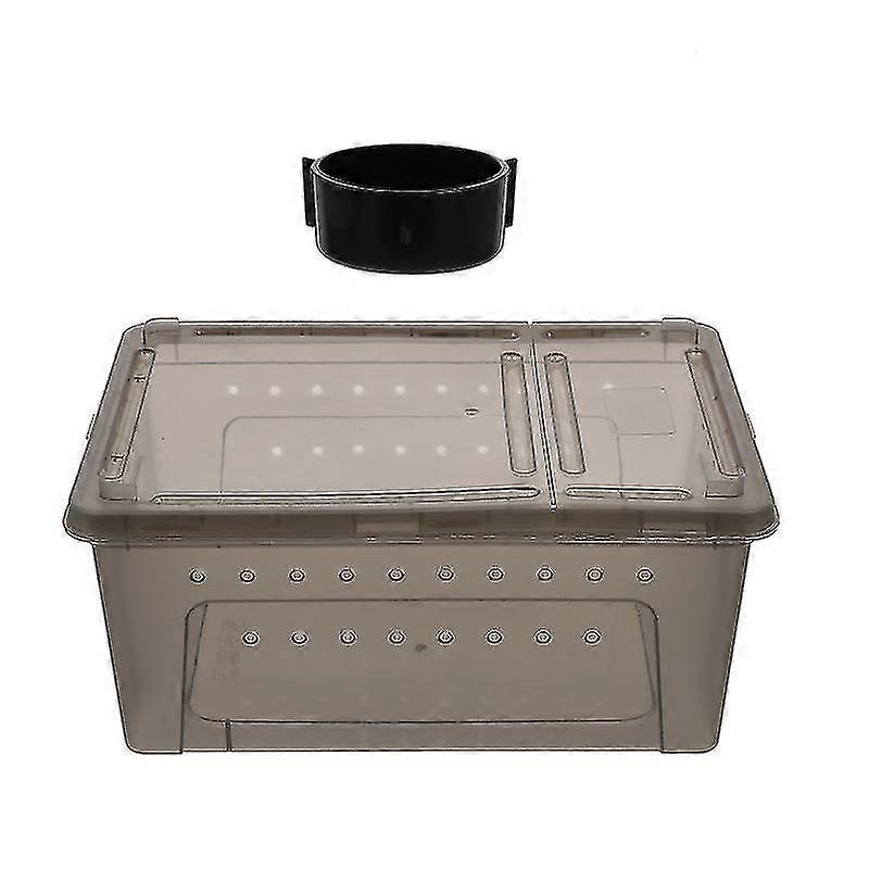 1set Reptile Box