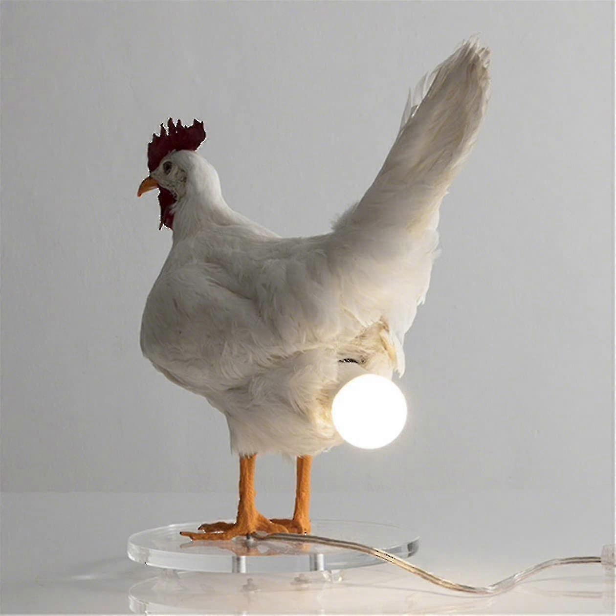 Kylling Led Lampe Egg Nattlampe Taxidermy Egg Skrivebordslampe-MXBC