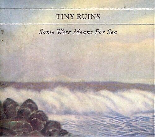 Tiny Ruins Some Were Meant for Sea CD