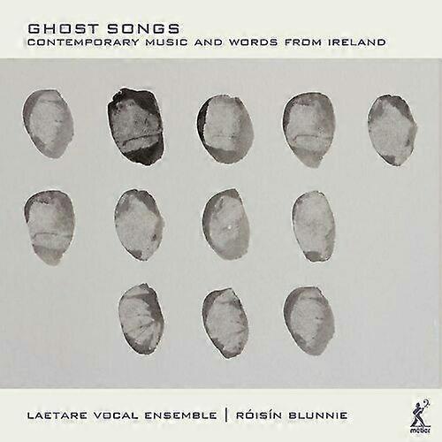 リスン・ブランニー ゴーストソングス アイルランドの現代音楽と言葉 CD