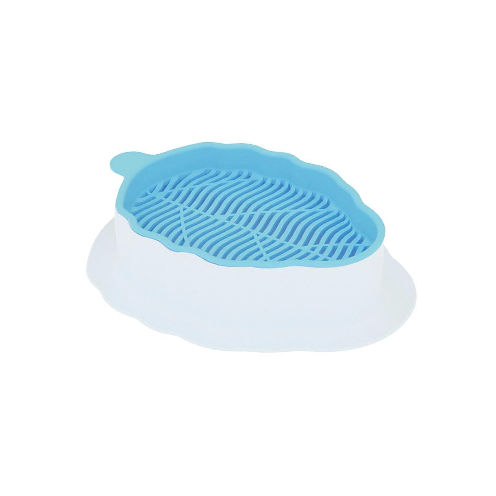 Cats Grass Sprouter Tray Sprouting Container Wheatgrass Bean Sprouts Durable