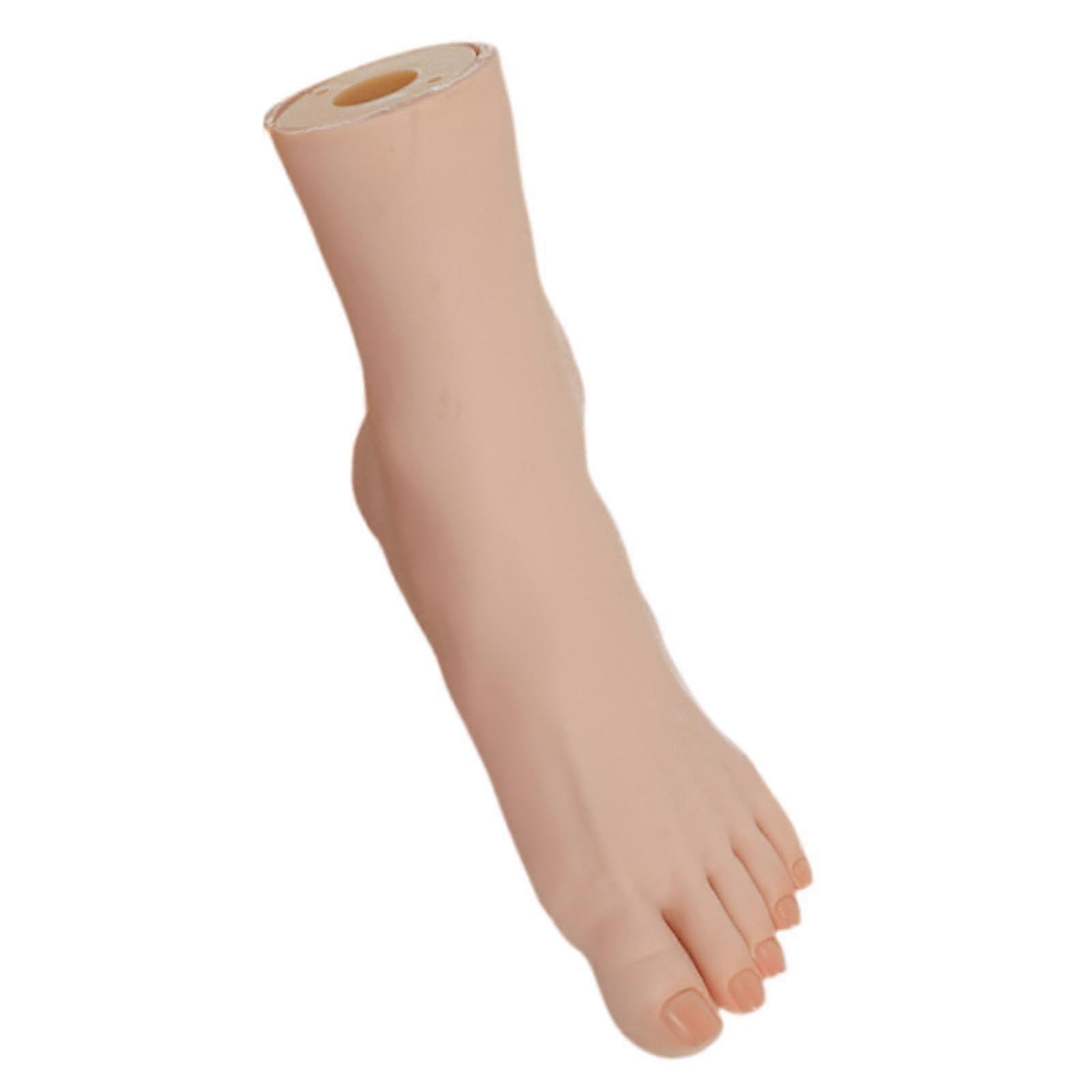 Mannequin Foot Shoe Display Stand with Stocking Holder, Medium Size Support Model for Retail Store