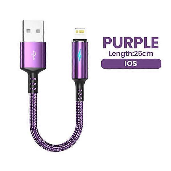0.25m Short USB Type-C Micro Cable, compatible with iPhone 13 12, iPad 3A, Fast Charging, for iOS Devices, Purple