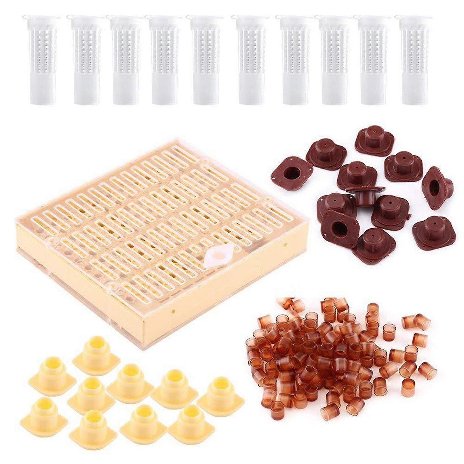 Acrylic Queen Rearing Box Beekeeping Tool Boosts Queen Production for Apiary Efficiency