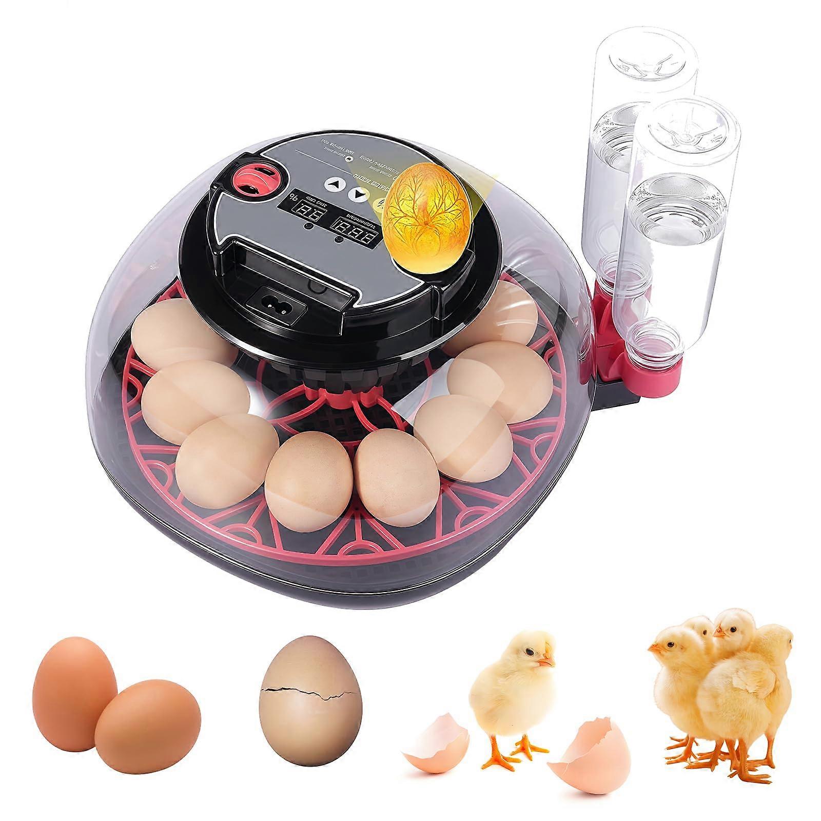 Automatic Egg Incubator for 12 Eggs with Turner, Digital Temperature Control and Humidity Display