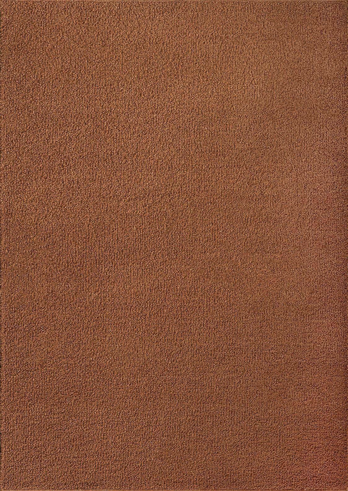 Acsento CaligariRust Rug