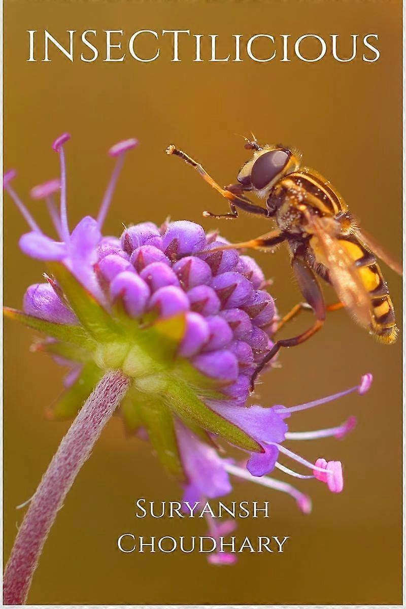 Insectilicious