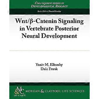 Wntbeta-catenin signaling in vertebrate posterior neural development