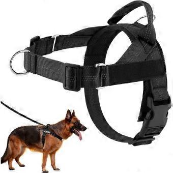 RUIYUE ParoPet No Pull Dog Harness, Adjustable Front Clip Soft Padded Pet Vest with Heavy-Duty D-Ring & Sturdy Grab Handle, Blue, Medium sl