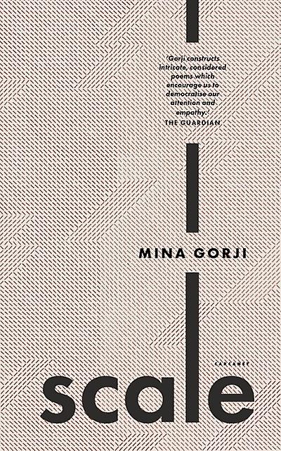Scale by Mina Gorji Paperback