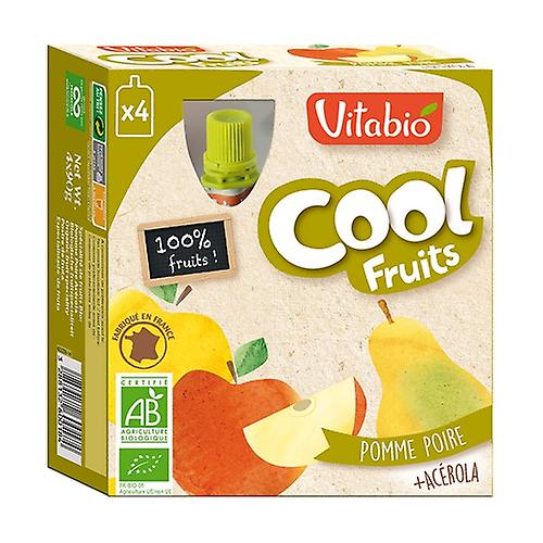 Organic Fruit Apple Cool Pear Gourd 4 units of 90g