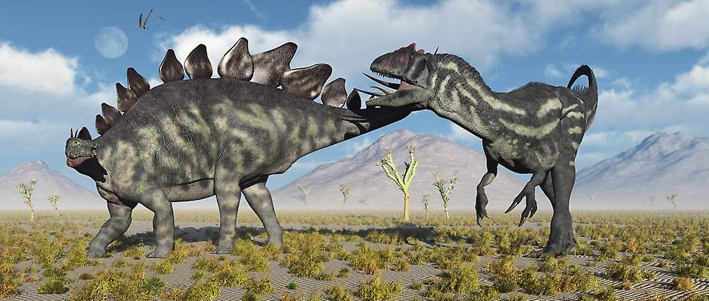 A Stegosaurus defending itself from a predatory Allosaurus attack. Poster