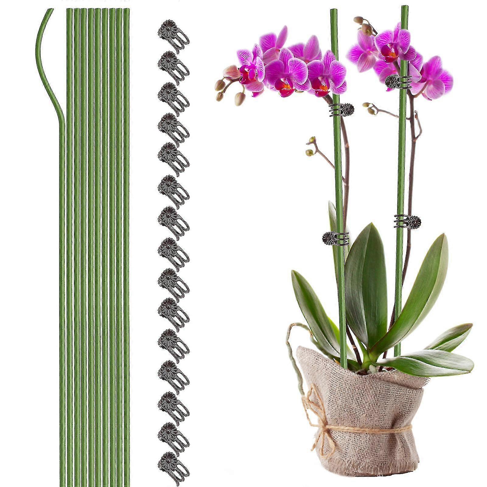 曲げ可能なプラスチックコーティングされた金属鋼鉄の庭の植物サポートの杭打ち棒鉢植えの家の植物のための屋内