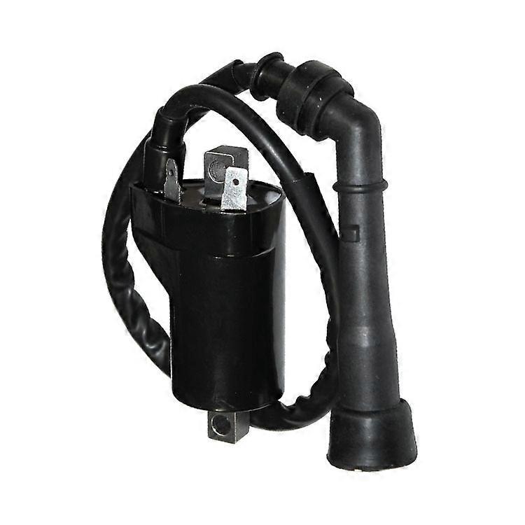 Ignition Coil Suitable For Gt650 Comet/Gt650r S Comet