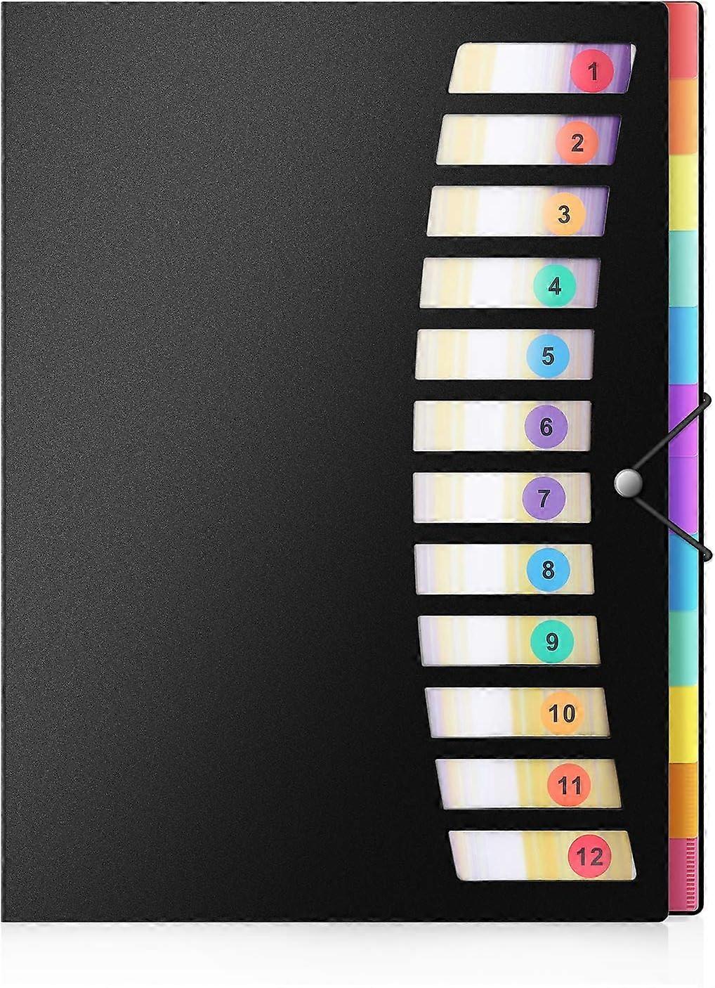 Expanding Project Sorter - 24 Pockets Poly Document Organizer with Rainbow Accordion Folders
