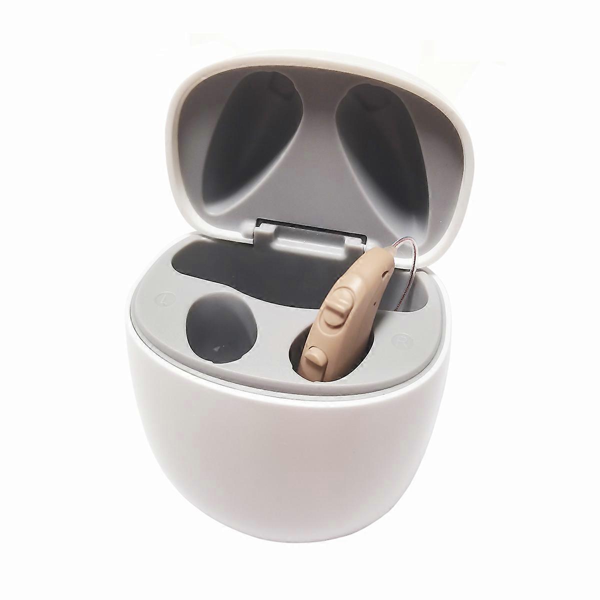 Austar Real USB Mini 16-kanałowy akumulatorowy cyfrowy aparat słuchowy RIC z ładowarką