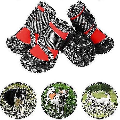 4 Pieces Of Dog Boots To Protect Pets' Paws