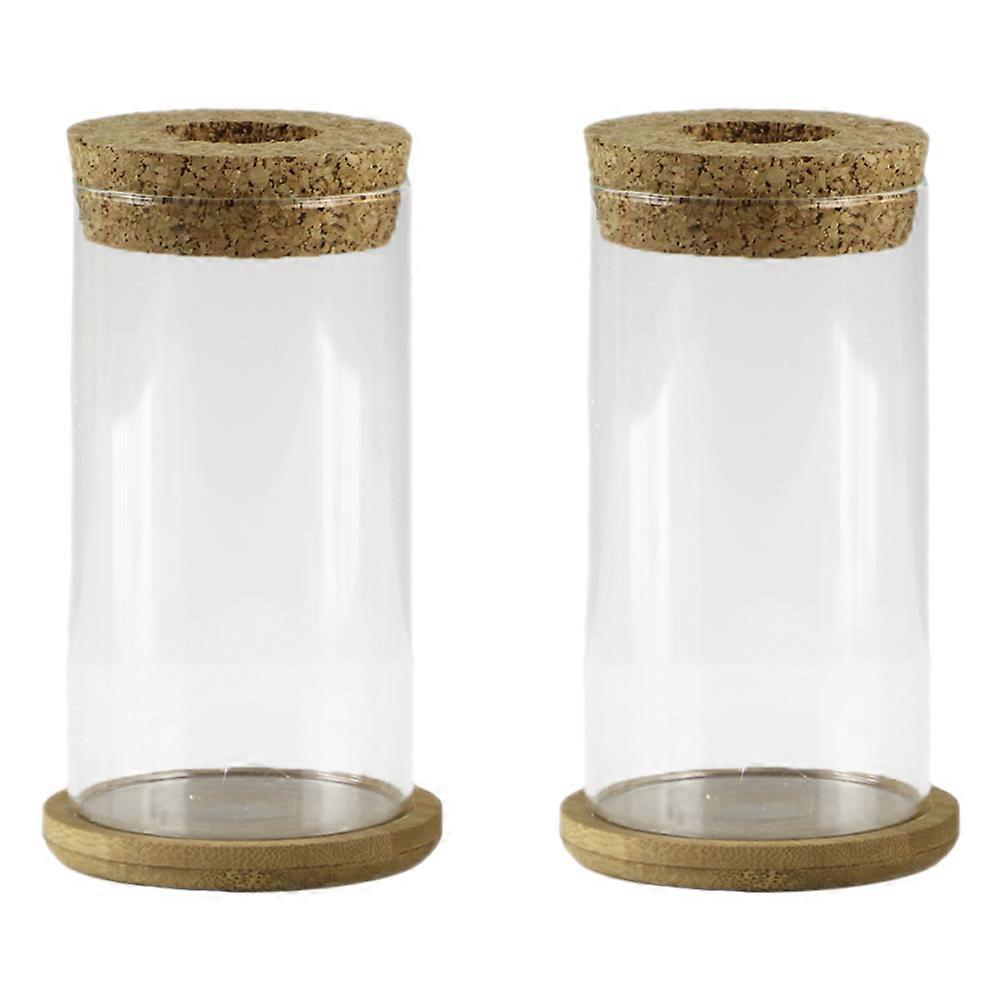 Glass Flower Pot Clear Planter Plant Container Style Office Use 12.00X6.50X6.50CM 2 Sets