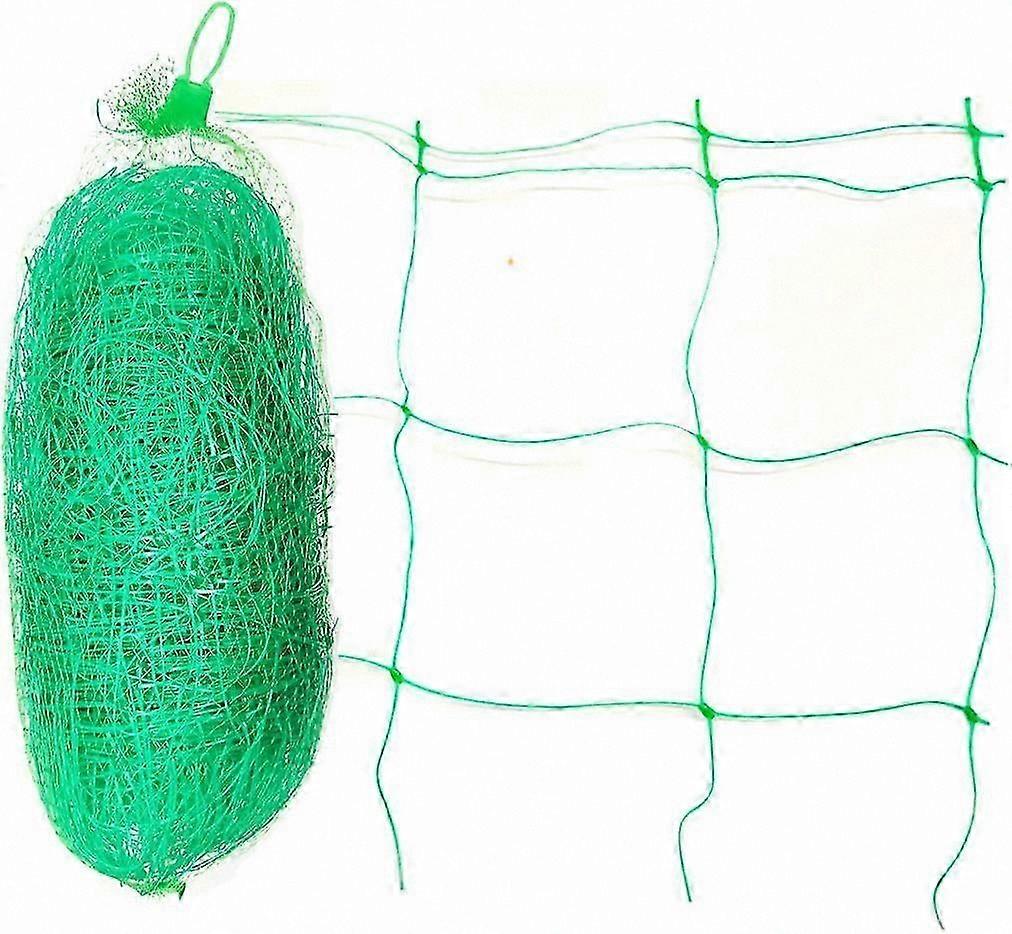 Durable Green Plastic Trellis Netting for Climbing Plants, Vegetables, Fruits, and Flowers (2m x 10m)