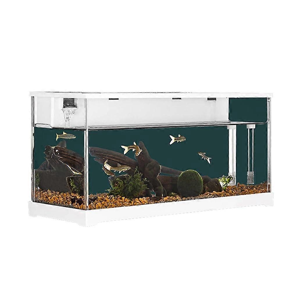 Fish Tank, Rectangular Acrylic Aquarium with Filtration System, Silent Pump, 38x14x18cm