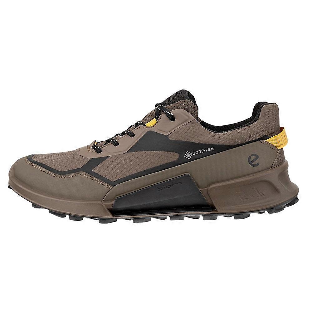 Shoes Ecco Biom 2.1 X Mountain 82392461293