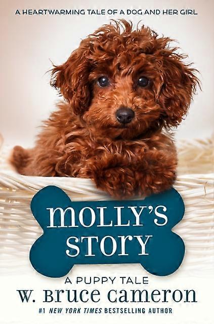 Molly's Story - W. Bruce Cameron - Paperback - English Book - Children?s Teenage fiction: Nature and animal stories