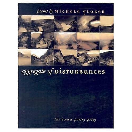 Aggregate of Disturbances