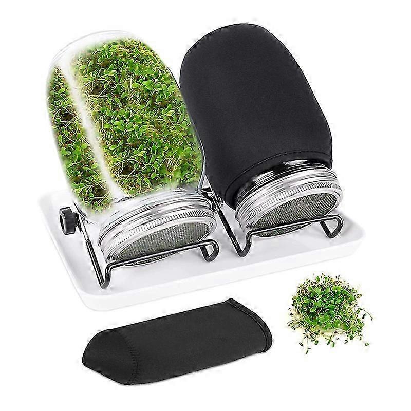 Seed Sprouting Jar Kit with 2 Wide Mouth Jars Bean Sprouts Growing Kit Growing Jar with Mesh Screen