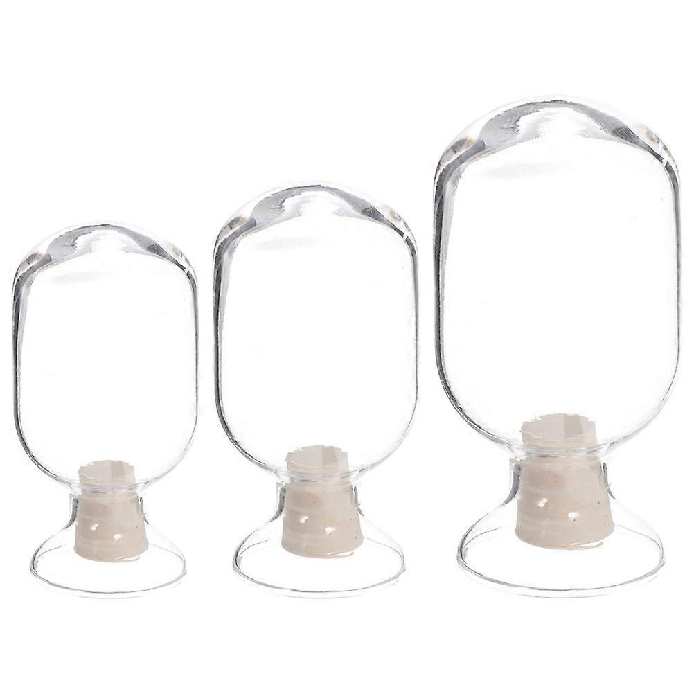 Storage Glass Match Holder Jars For Matches And Small Items 12Pcs Transparent Design Lightweight