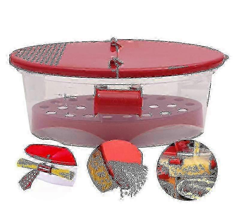 2026 Microwave Pasta Box - Transparent Plastic for Microwaving