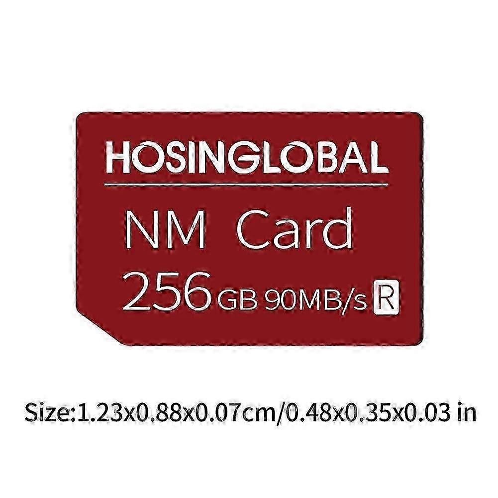 HOSINGLOBAL 90MB/s 256GB NM Card
