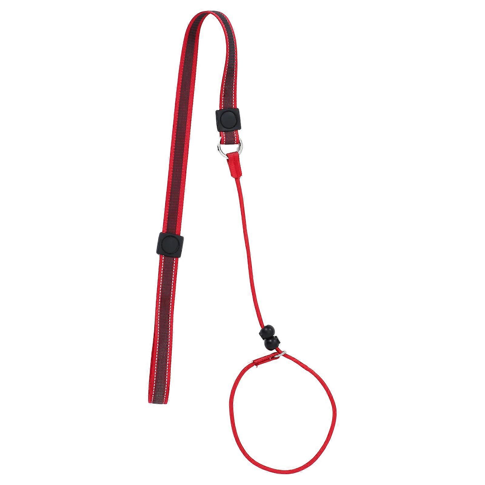 Slip Dog Leash for Training with Anti Pull Function for Dog Control