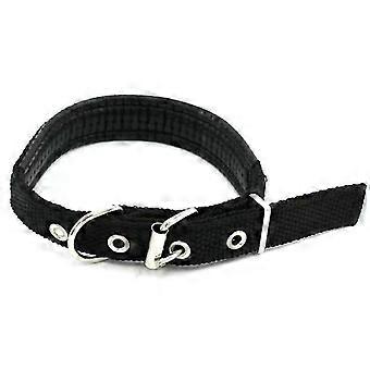 jianc-Dog collar, Teddy/Golden Retriever neck cuff, size M, 2.0cm wide, black. Only 1 available, will be shipped randomly.