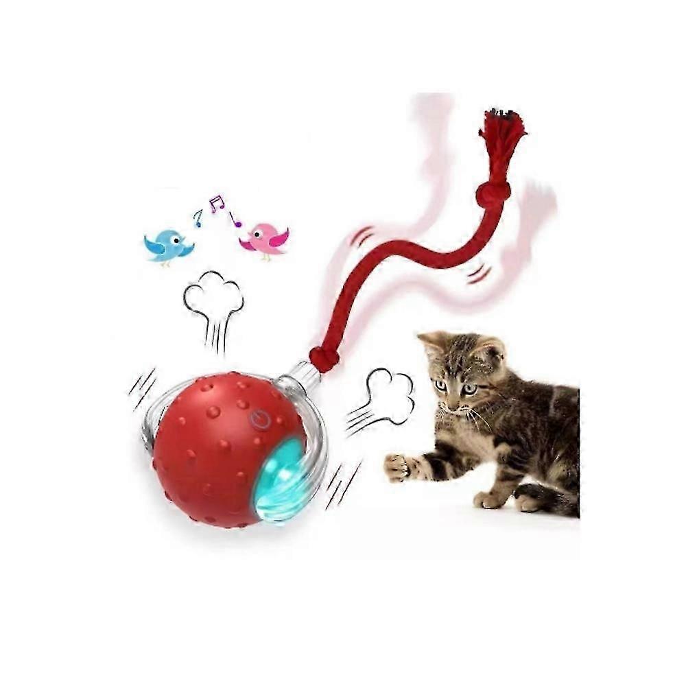 Tiny Fetch Dog Toy,Tinyfetch Interactive Dog Cat Toys Balls,Fast Moving Ball