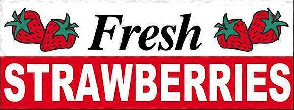 FRESH STRAWBERRIES Banner FB0759