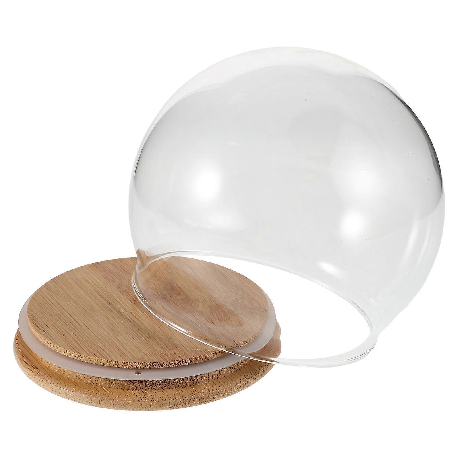 Transparent Glass Dome with Bamboo Stand