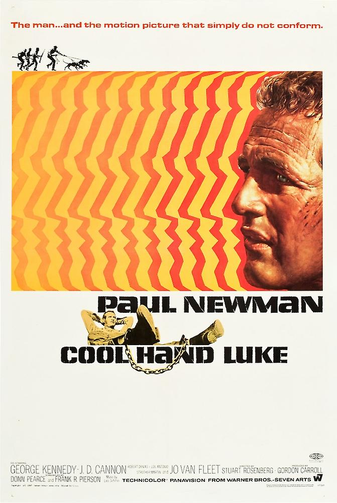 Cool Hand Luke Poster