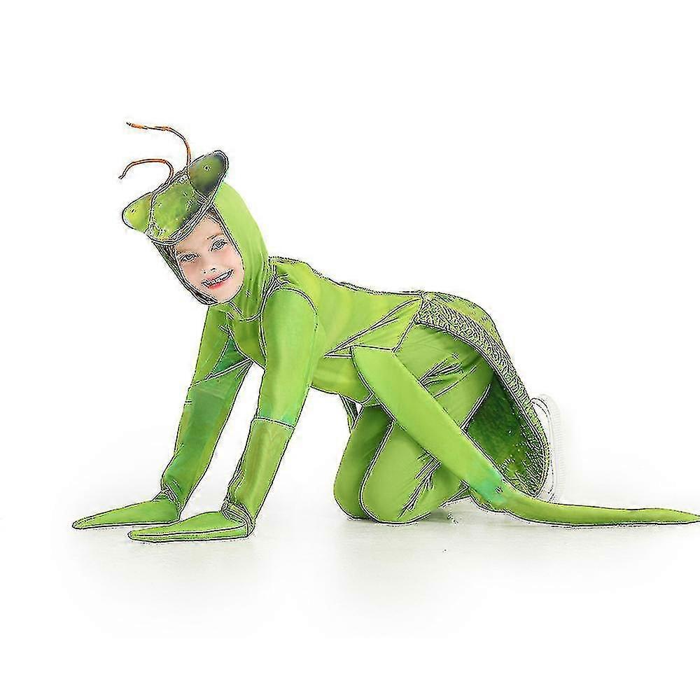 Kids Insect Bug Fancy Praying Mantis Costume For