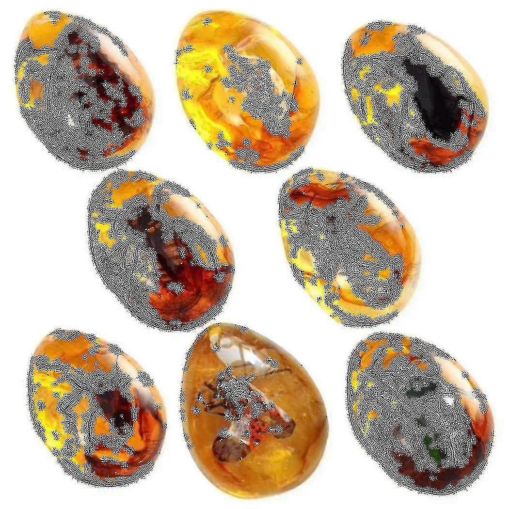 8pcs Fossils With Insects Samples Crystal Samples Decorations Collections Oval Pendants Pendant