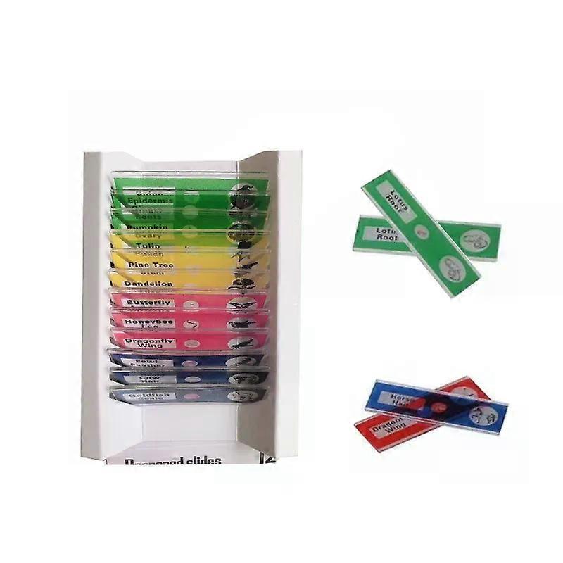 48 pieces/set Plastic Prepared Microscope Slides Of Animals Insects Plants Flowers Sample Specimens For Stereo Microscopes