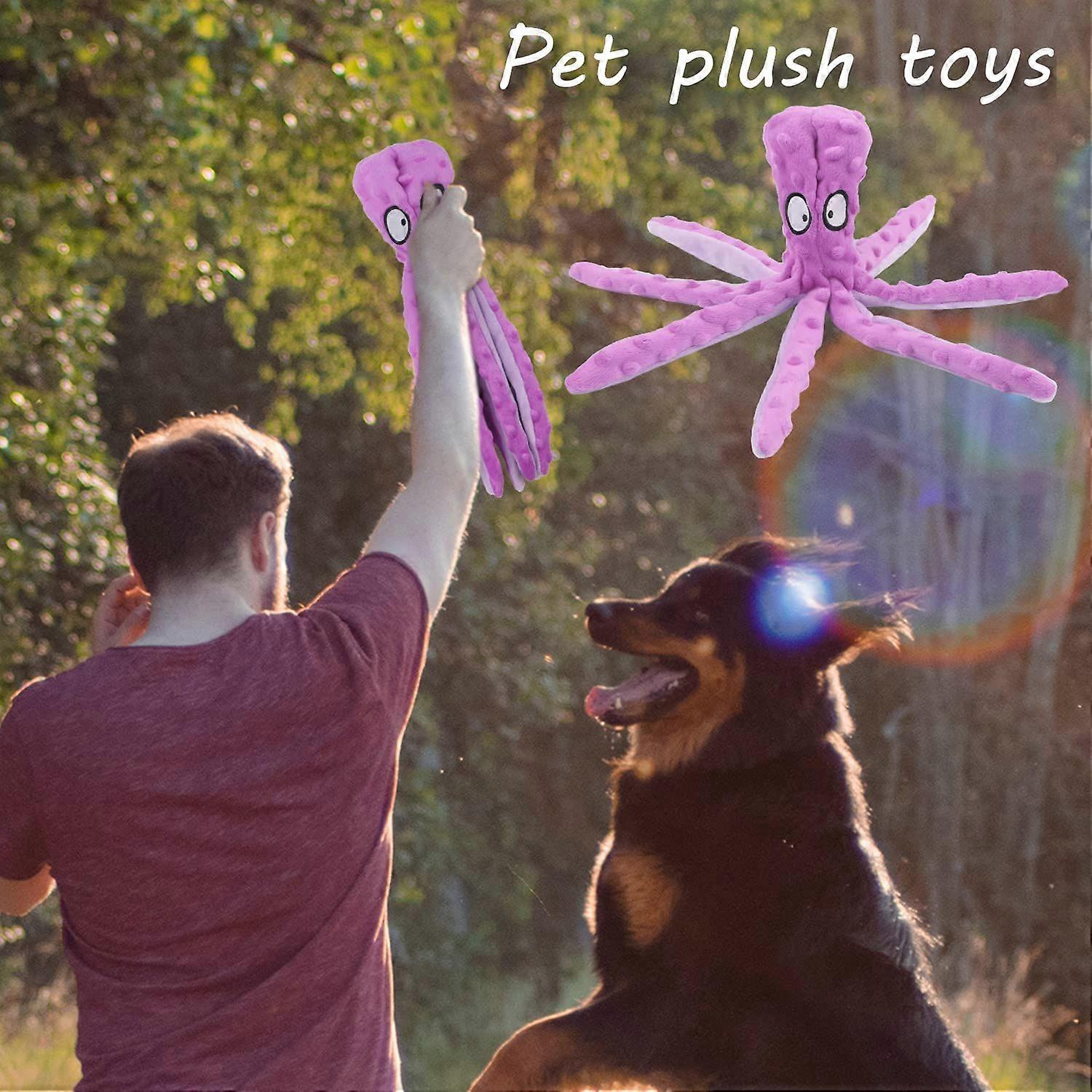 Squeaky No Stuffed Dog Chew Toy -Purple