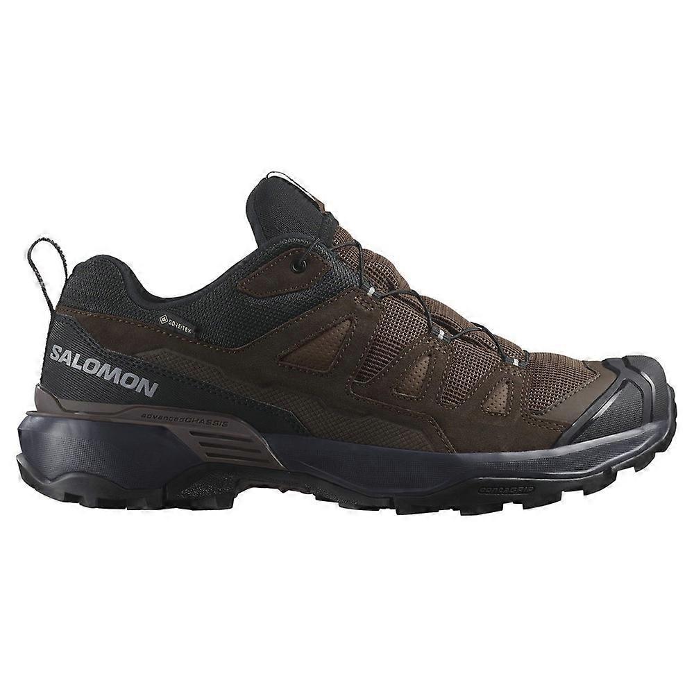 Shoes Salomon X Ultra 360 Ltr Gtx Gore-tex 475712