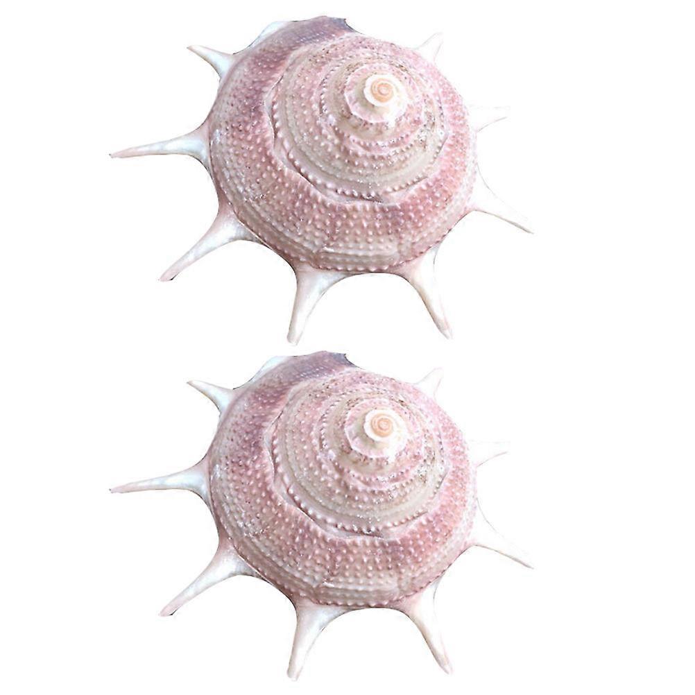 Aquarium Décor Thematic Ornaments Natural Shell Fish Tank Adornment Unique Shape DIY Micro Landscape for Fish Tank Owners 2Pcs