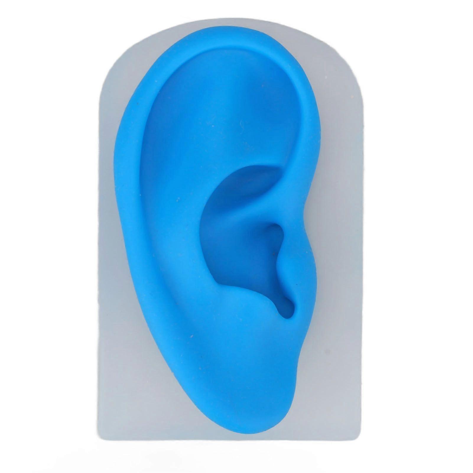 2025 Latest Model Silicone Ear Model Soft Simulated Ear Model for Hearing Ampl...