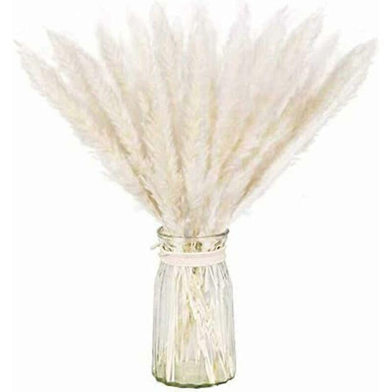 Natural Dried Pampas Grass Bundle for Home Decor 20 Pcs (White)