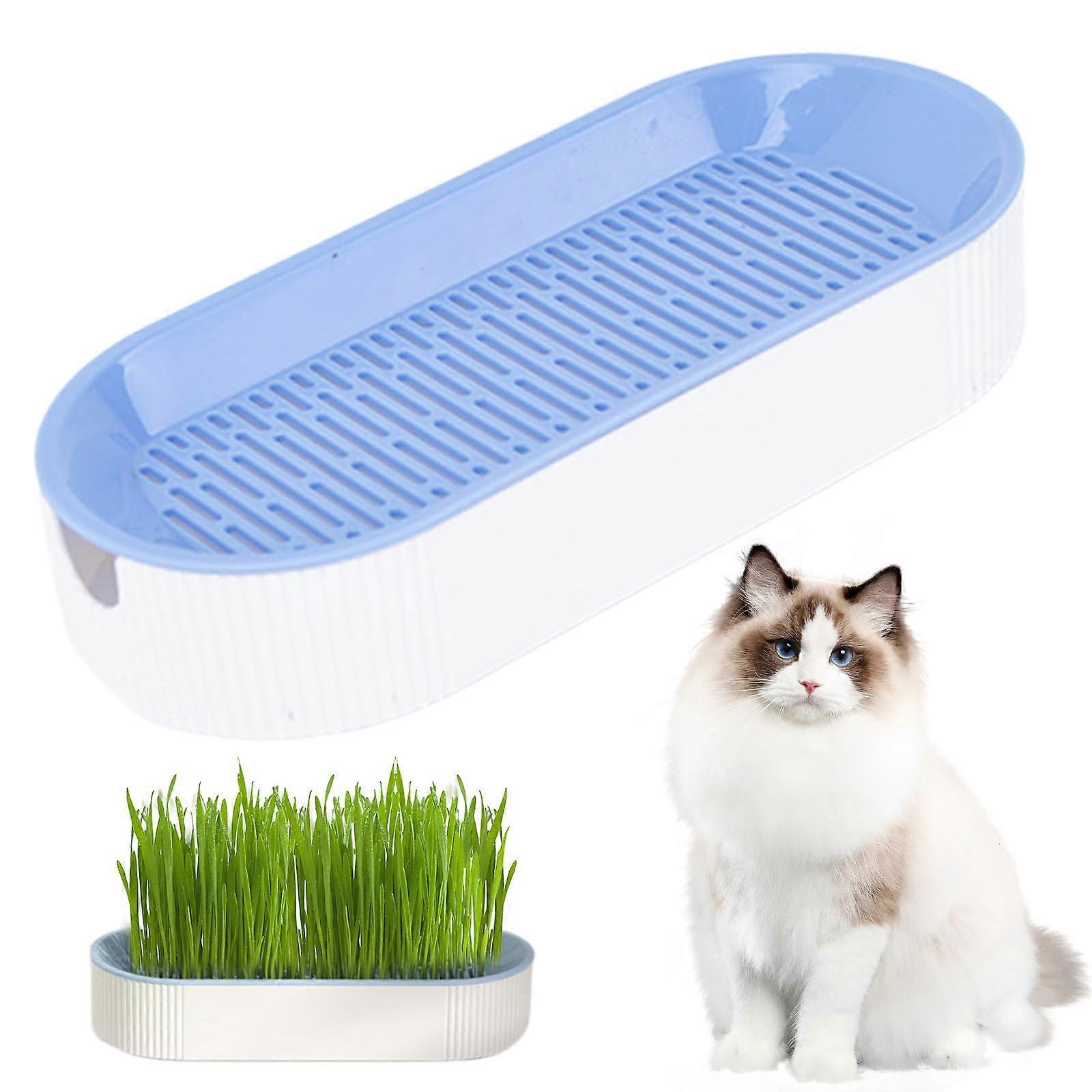 Cat Grass Planter Dual Layer Detachable Hydroponic PP 8.3x3.6x1.8in No Seeds Home Cattery Growing Kit