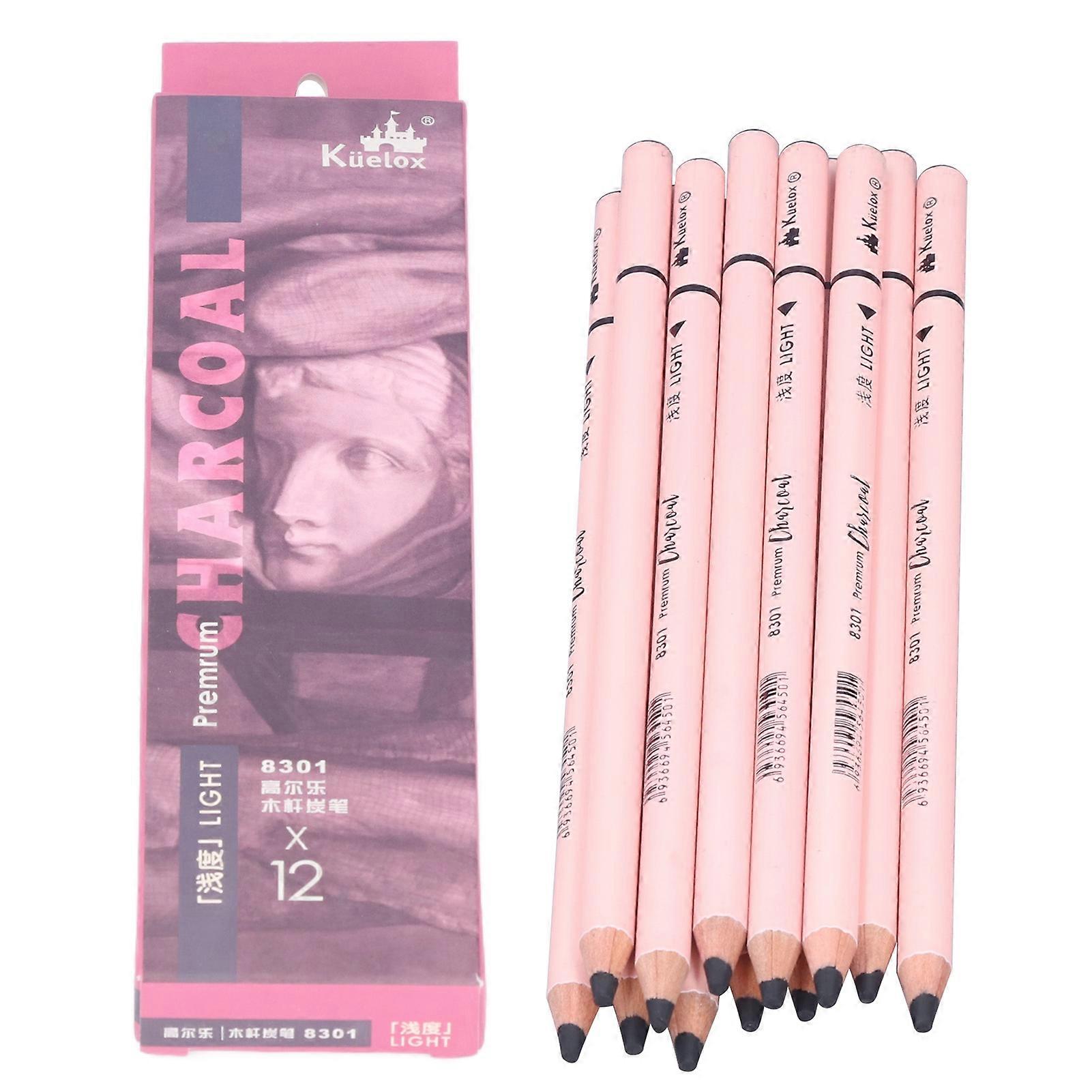 Lot de 12 crayons à fusain flexibles, écriture fluide, facile à utiliser, fournitures d'art au fusain pour dessin détaillé, croquis, peinture