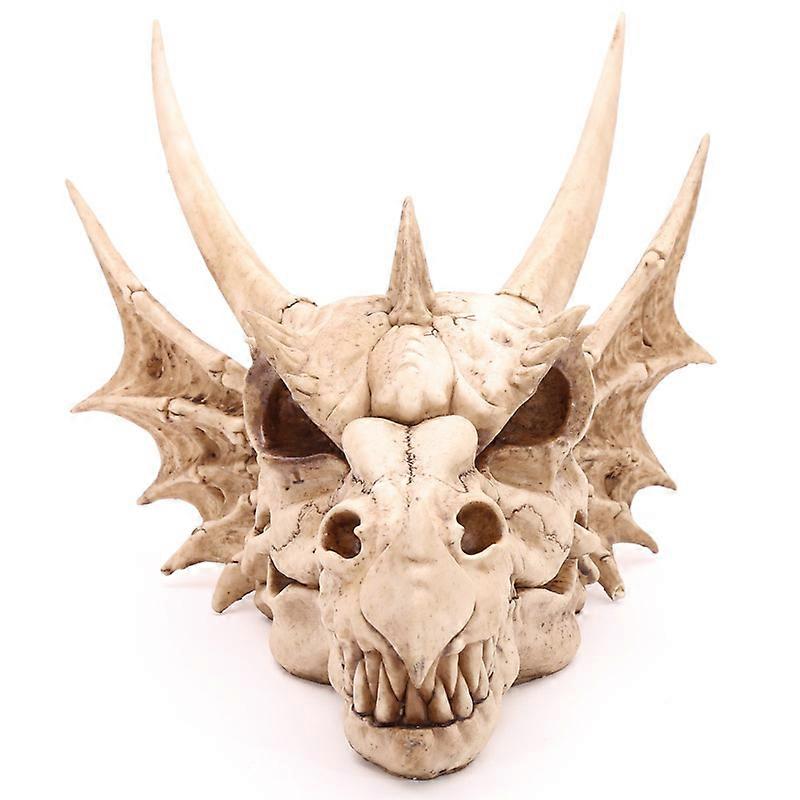 Decorative Fantasy Dragon Skull 1 Pack